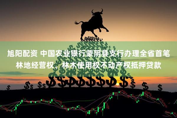旭阳配资 中国农业银行蒙阴县支行办理全省首笔林地经营权、林木使用权不动产权抵押贷款