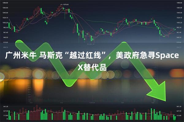 广州米牛 马斯克“越过红线”，美政府急寻SpaceX替代品