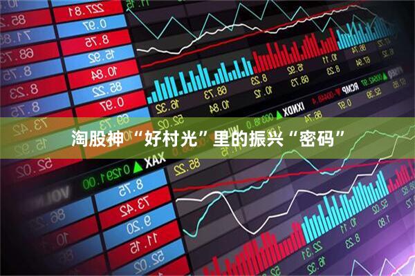 淘股神 “好村光”里的振兴“密码”