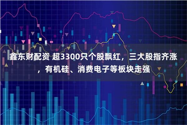 鑫东财配资 超3300只个股飘红，三大股指齐涨，有机硅、消费电子等板块走强